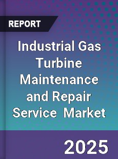 Industrial Gas Turbine Maintenance and Repair Service Global and China Top Players Market