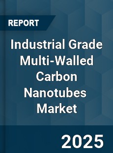 Global Industrial Grade Multi Walled Carbon Nanotubes Industry