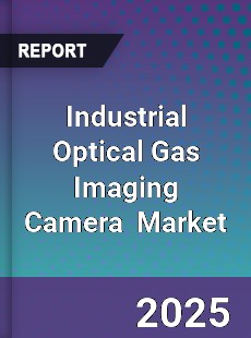 Industrial Optical Gas Imaging Camera Global and China Top Players Market