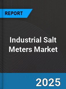 Global Industrial Salt Meters Industry