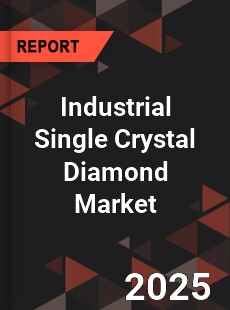 Industrial Single Crystal Diamond Global and China Top Players Market