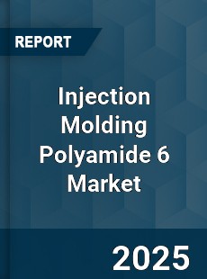 Injection Molding Polyamide 6 Market