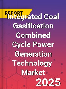 Integrated Coal Gasification Combined Cycle Power Generation Technology Global and China Top Players Market