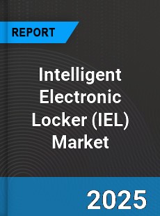 Intelligent Electronic Locker Global Market