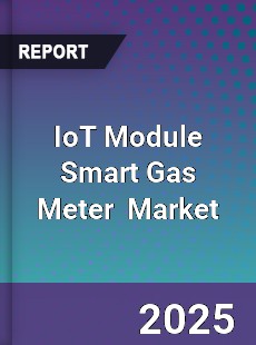 Global IOT Module Smart Gas Meter Industry
