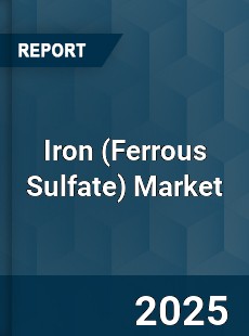 Global Iron Market