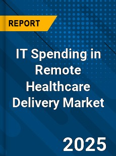 Global IT Spending in Remote Healthcare Delivery Market