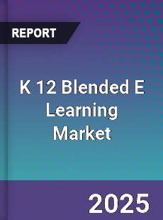 Global K 12 Blended E Learning Market