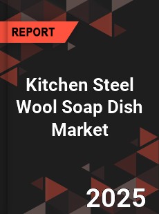 Global Kitchen Steel Wool Soap Dish Market