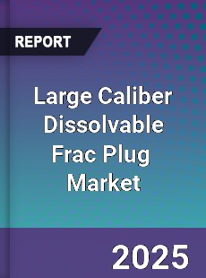 Global Large Caliber Dissolvable Frac Plug Industry