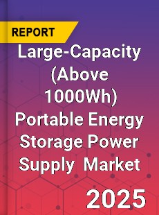 Global Large Capacity Portable Energy Storage Power Supply Industry