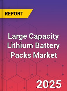 Global Large Capacity Lithium Battery Packs Market