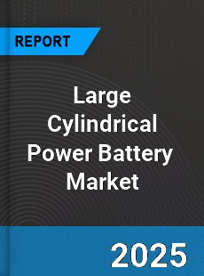 Global Large Cylindrical Power Battery Industry