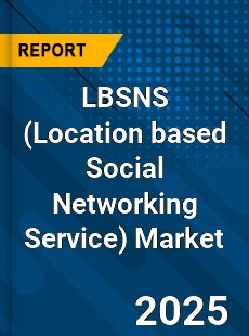Report on Global LBSNS