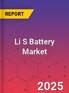 Global Li S Battery Industry
