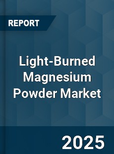 Global Light Burned Magnesium Powder Market