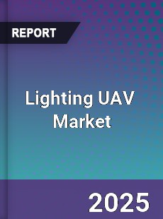 Global Lighting UAV Industry