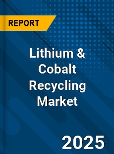 Lithium amp Cobalt Recycling Market