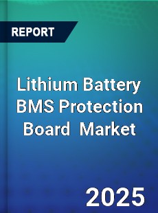 Global Lithium Battery BMS Protection Board Industry