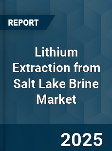 Lithium Extraction from Salt Lake Brine Market