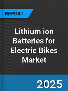 Global Lithium ion Batteries for Electric Bikes Market