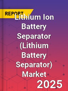 Global Lithium Ion Battery Separator Market