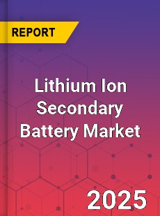 Global Lithium Ion Secondary Battery Market