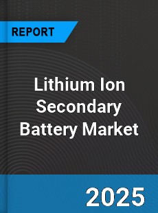 Global Lithium Ion Secondary Battery Market