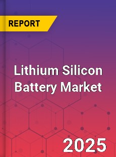 Global Lithium Silicon Battery Market