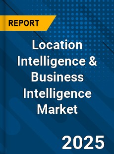 Report on Global Location Intelligence amp Business Intelligence