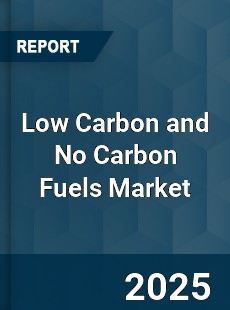 Low Carbon and No Carbon Fuels Market