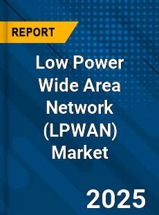 Global Low Power Wide Area Network Market