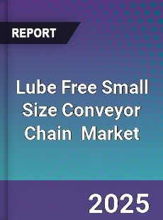Global Lube Free Small Size Conveyor Chain Industry