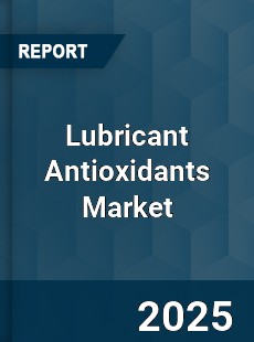 Global Lubricant Antioxidants Market