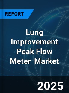 Lung Improvement Peak Flow Meter Global and China Top Players Market