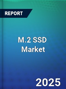 Global M 2 SSD Outlook