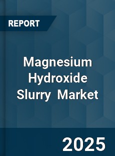 Global Magnesium Hydroxide Slurry Market