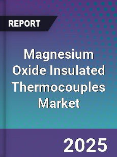 Global Magnesium Oxide Insulated Thermocouples Market