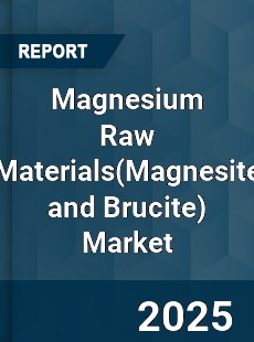Global Magnesium Raw Materials Market