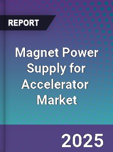Magnet Power Supply for Accelerator Global and China Top Players Market