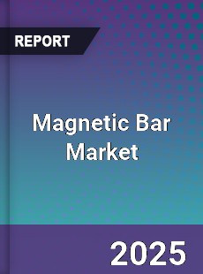 Global Magnetic Bar Market