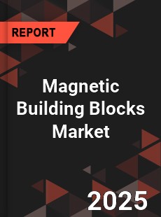 Global Magnetic Building Blocks Market