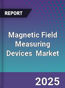 Magnetic Field Measuring Devices Global and China Top Players Market