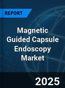 Global Magnetic Guided Capsule Endoscopy Industry