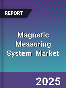 Global Magnetic Measuring System Industry