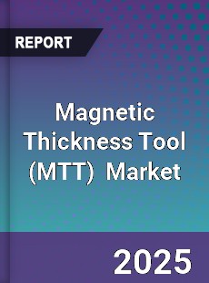 Global Magnetic Thickness Tool Market