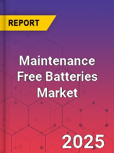 Global Maintenance Free Batteries Market