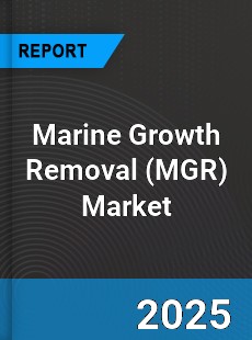 Marine Growth Removal Market