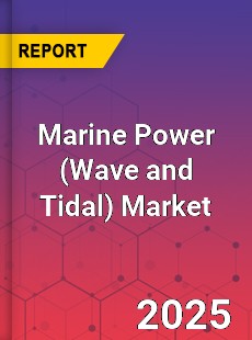 COVID 19 Outbreak Global Marine Power Industry