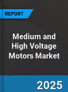 Global Medium and High Voltage Motors Market
